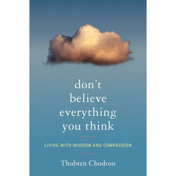 ISBN Don’t Believe Everything You Think livre