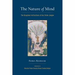 ISBN The Nature of Mind, Livre broché, 208 pages