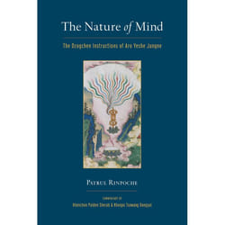ISBN The Nature of Mind livre