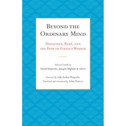 ISBN Beyond the Ordinary Mind livre