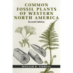 ISBN Common Fossil Plants of Western North America, Second Edition livre