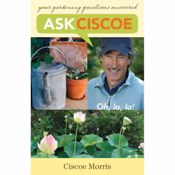 ISBN Ask Ciscoe, Livre broché, 352 pages
