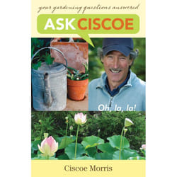 ISBN Ask Ciscoe livre