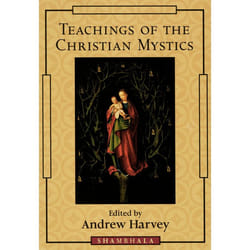 ISBN Teachings of the Christian Mystics livre