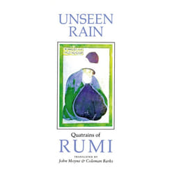 ISBN Unseen Rain livre