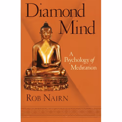 ISBN Diamond Mind, Livre broché, 144 pages