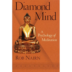 ISBN Diamond Mind livre