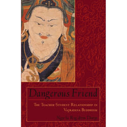 ISBN Dangerous Friend livre