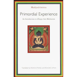 ISBN Primordial Experience livre