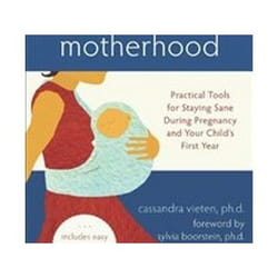 ISBN Mindful Motherhood : Practical Tools for Staying Sane in Pregnancy and Your Child's First Year livre Santé, esprit et corps Anglais