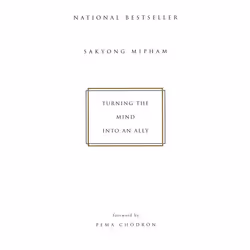 ISBN Turning the Mind into an Ally, Livre broché, 256 pages