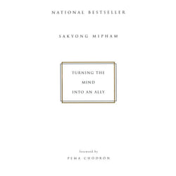 ISBN Turning the Mind into an Ally livre