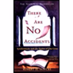 ISBN There Are No Accidents, Livre broché, 272 pages