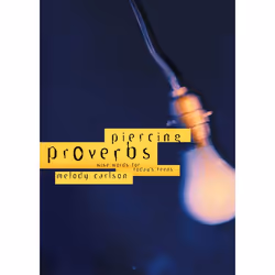 ISBN Piercing Proverbs, Livre broché, 96 pages