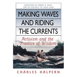 ISBN Making Waves and Riding the Currents livre biographie Anglais Couverture rigide