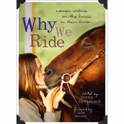 ISBN Why We Ride, Sport &amp; loisirs, Anglais, Livre broché, 336 pages