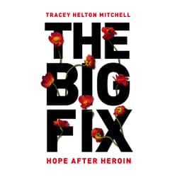ISBN The Big Fix livre biographie Anglais Couverture rigide