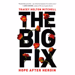 ISBN The Big Fix, biographie, Anglais, Livre broché, 272 pages