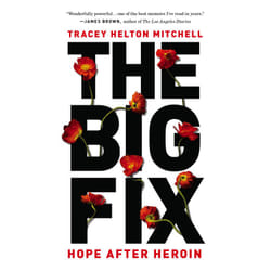 ISBN The Big Fix livre biographie Anglais