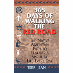 ISBN 365 Days Of Walking The Red Road, Anglais, Livre de poche, 416 pages