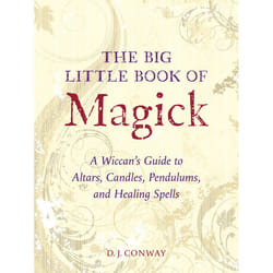 ISBN The Big Little Book of Magick livre