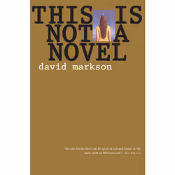 ISBN This Is Not a Novel, Anglais, Livre broché, 202 pages