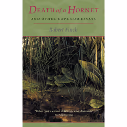 ISBN Death of a Hornet and Other Cape Cod Essays, Anglais, Livre broché, 288 pages