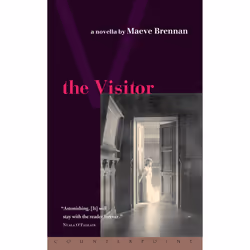 ISBN The Visitor, Anglais, Livre broché, 96 pages