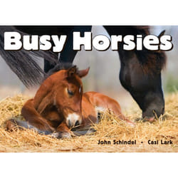 ISBN Busy Horsies Couverture rigide