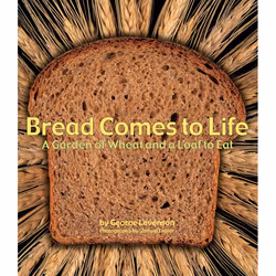 ISBN Bread Comes to Life, nourriture &amp; boisson, Anglais, Livre broché, 32 pages