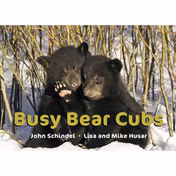 ISBN Busy Bear Cubs, Anglais, Couverture rigide, 20 pages