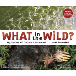 ISBN What in the Wild?, Anglais, Couverture rigide, 44 pages