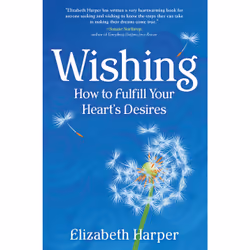 ISBN Wishing, Anglais, Livre de poche, 192 pages