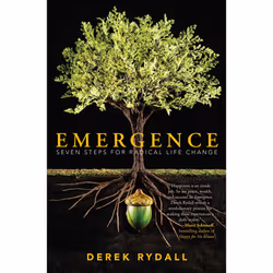 ISBN Emergence, Anglais, Livre de poche, 256 pages