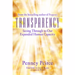 ISBN Transparency, Anglais, Couverture rigide, 368 pages