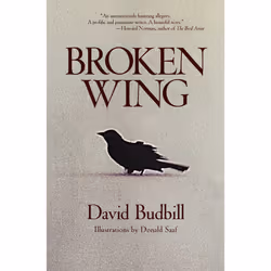 ISBN Broken Wing, fiction litéraire, Anglais, Livre broché, 168 pages