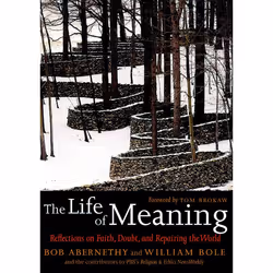 ISBN The Life of Meaning, Livre broché, 438 pages