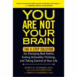 ISBN You Are Not Your Brain, Livre broché, 384 pages