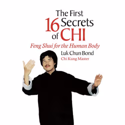 ISBN The First 16 Secrets of Chi, Livre broché, 256 pages