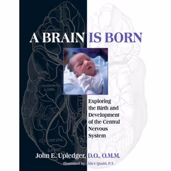 ISBN A Brain Is Born, Livre broché, 400 pages