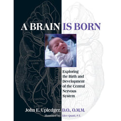 ISBN A Brain Is Born livre