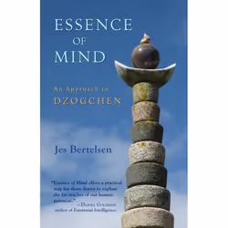 ISBN Essence of Mind, Livre broché, 160 pages