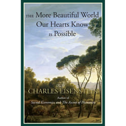 ISBN The More Beautiful World Our Hearts Know Is Possible livre