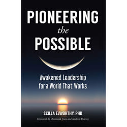 ISBN Pioneering the Possible livre