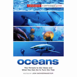 ISBN Oceans, Art & design, Anglais, Livre broché, 336 pages
