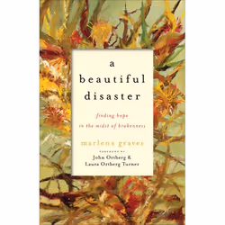 ISBN A Beautiful Disaster (Finding Hope in the Midst of Brokenness), Anglais, Livre broché, 220 pages