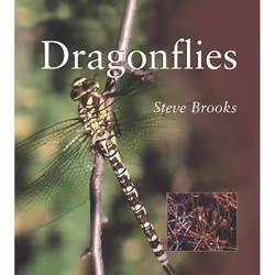 ISBN Dragonflies, Livre broché, 112 pages
