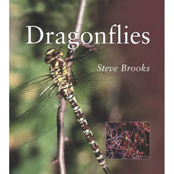 ISBN Dragonflies livre