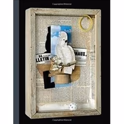 ISBN Bird’s of a Feather : Joseph Cornell’s Homage to Juan Gris, histoire, Anglais, 96 pages