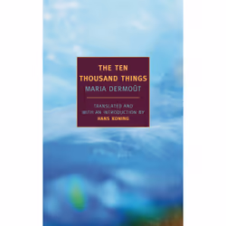 ISBN The Ten Thousand Things, Anglais, Livre broché, 224 pages
